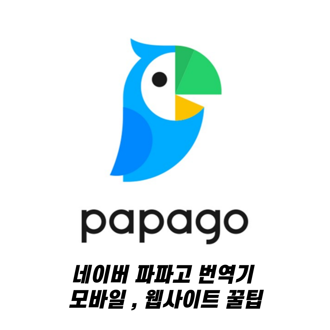 네이버 파파고 번역기 모바일 , 웹사이트 꿀팁