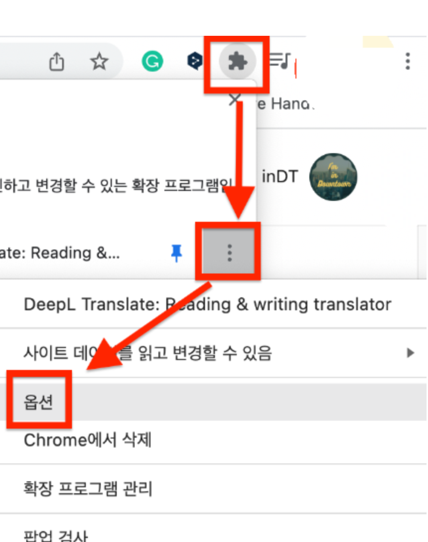 Deepl 확장 프로그램 옵션 언어 설정