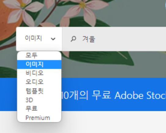 어도비 스톡 검색창 '이미지' 설정