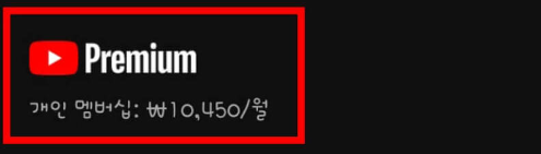 유튜브 프리미엄 멤버십