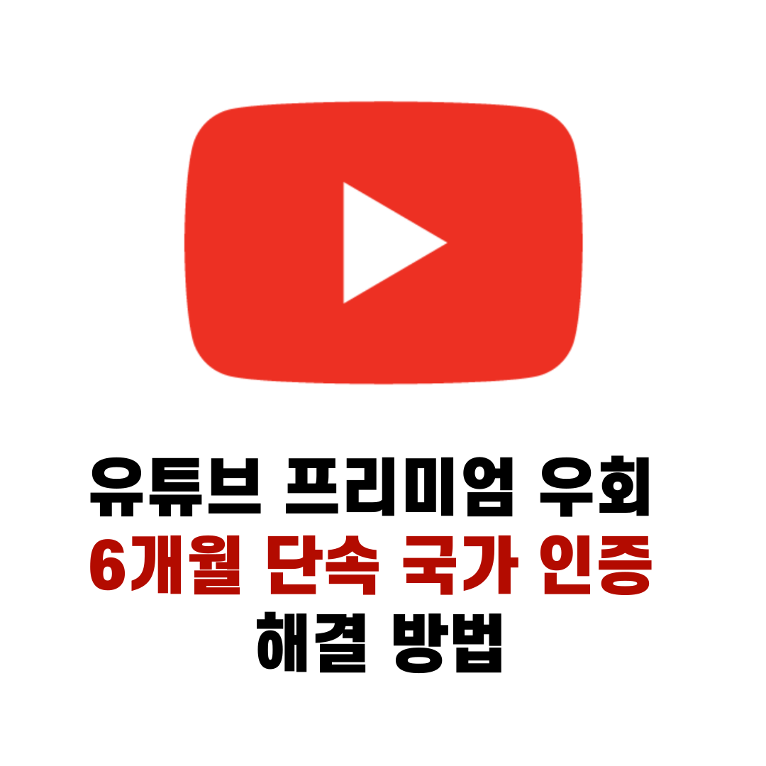 유튜브 프리미엄 우회 6개월 단속 국가 인증 해결 방법