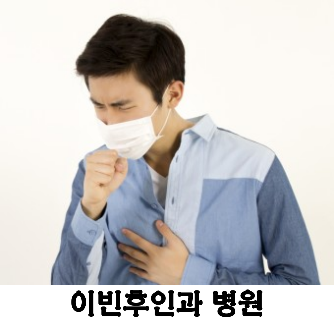 이빈후인과 병원: 비염 치료 및 실비보험 처리 방법 [근처, 귀청소, 감기]