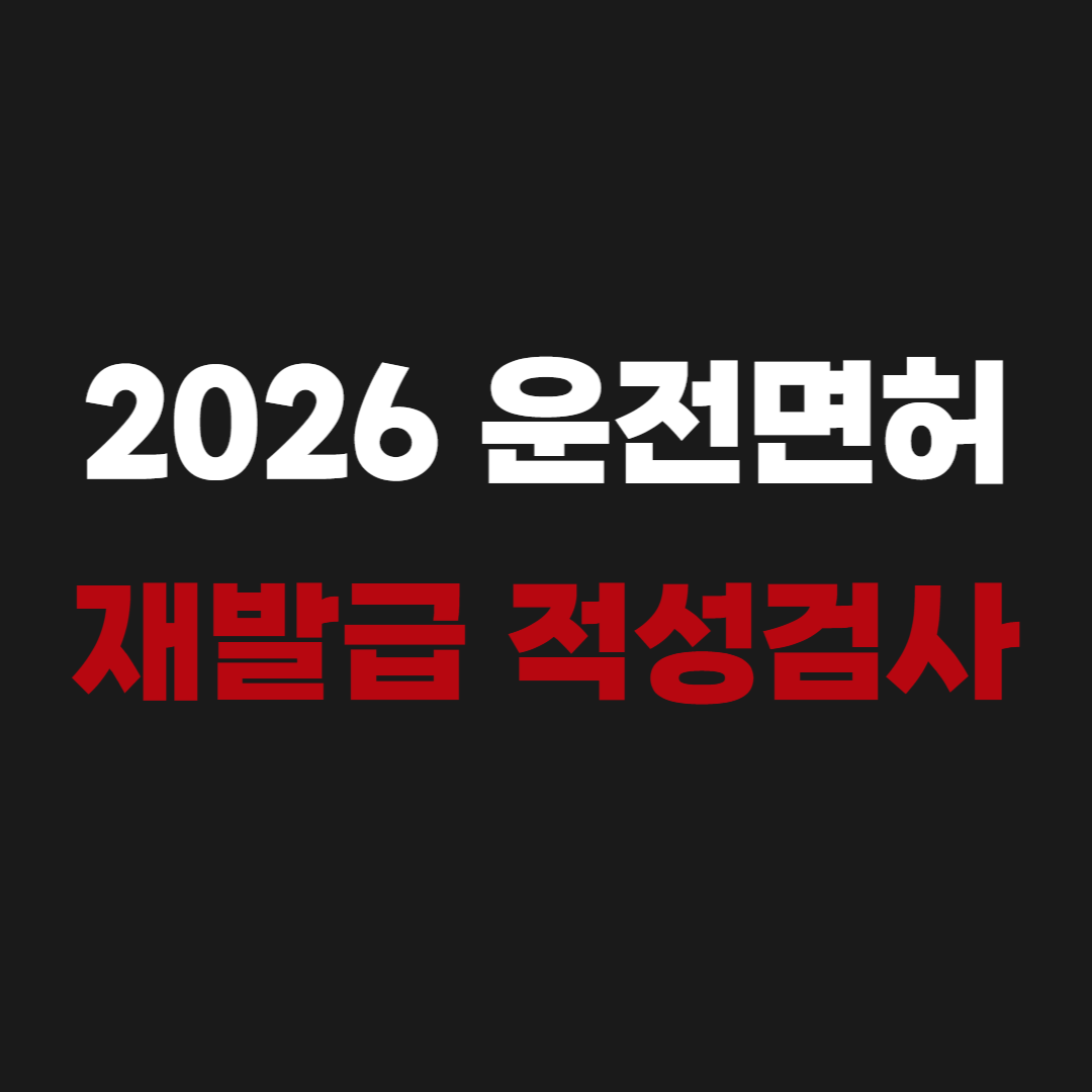 2026 운전면허증 재발급 갱신 사진 적성검사 ﻿