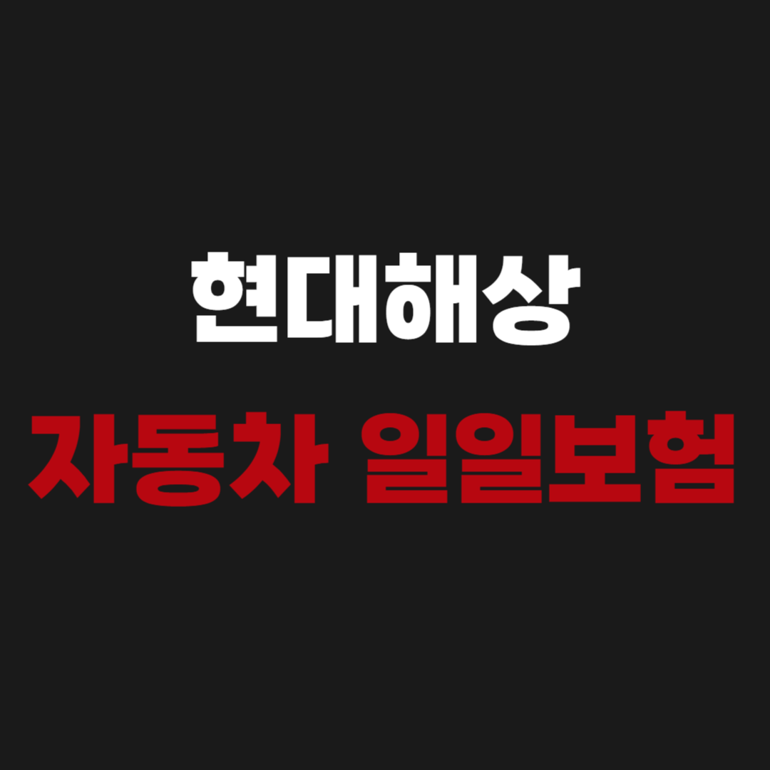현대해상 자동차 일일보험