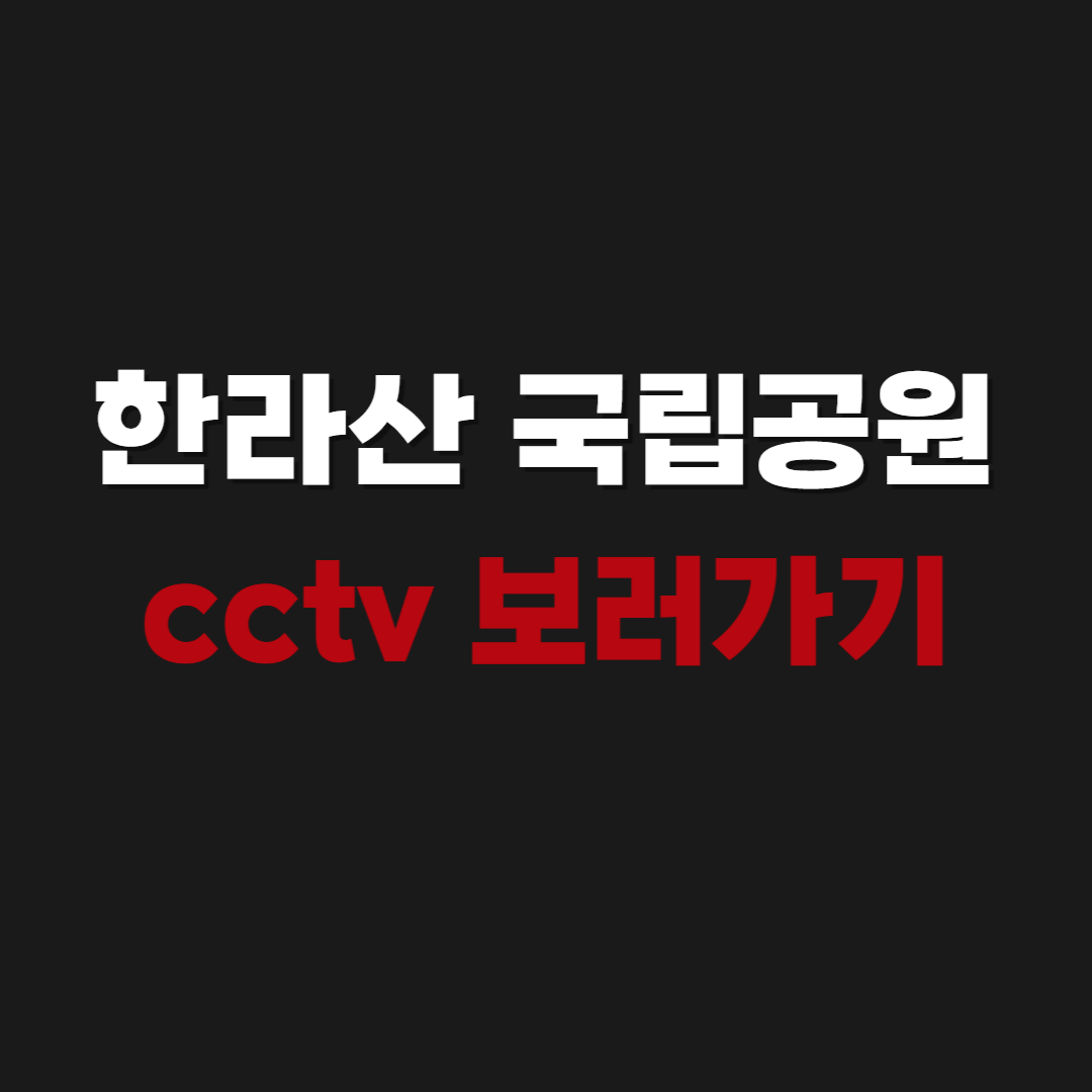 제주도의 상징, 한라산! 백록담의 절경을 보기 위해 전국에서 많은 분이 찾아오시는데요. 한라산은 고도가 높아서 지상 날씨만 믿고 갔다가는 낭패를 보기 쉽습니다. 등산 전, 혹은 실시간 눈꽃 개화 상황이 궁금할 때 가장 유용한 것이 바로 실시간 CCTV입니다.