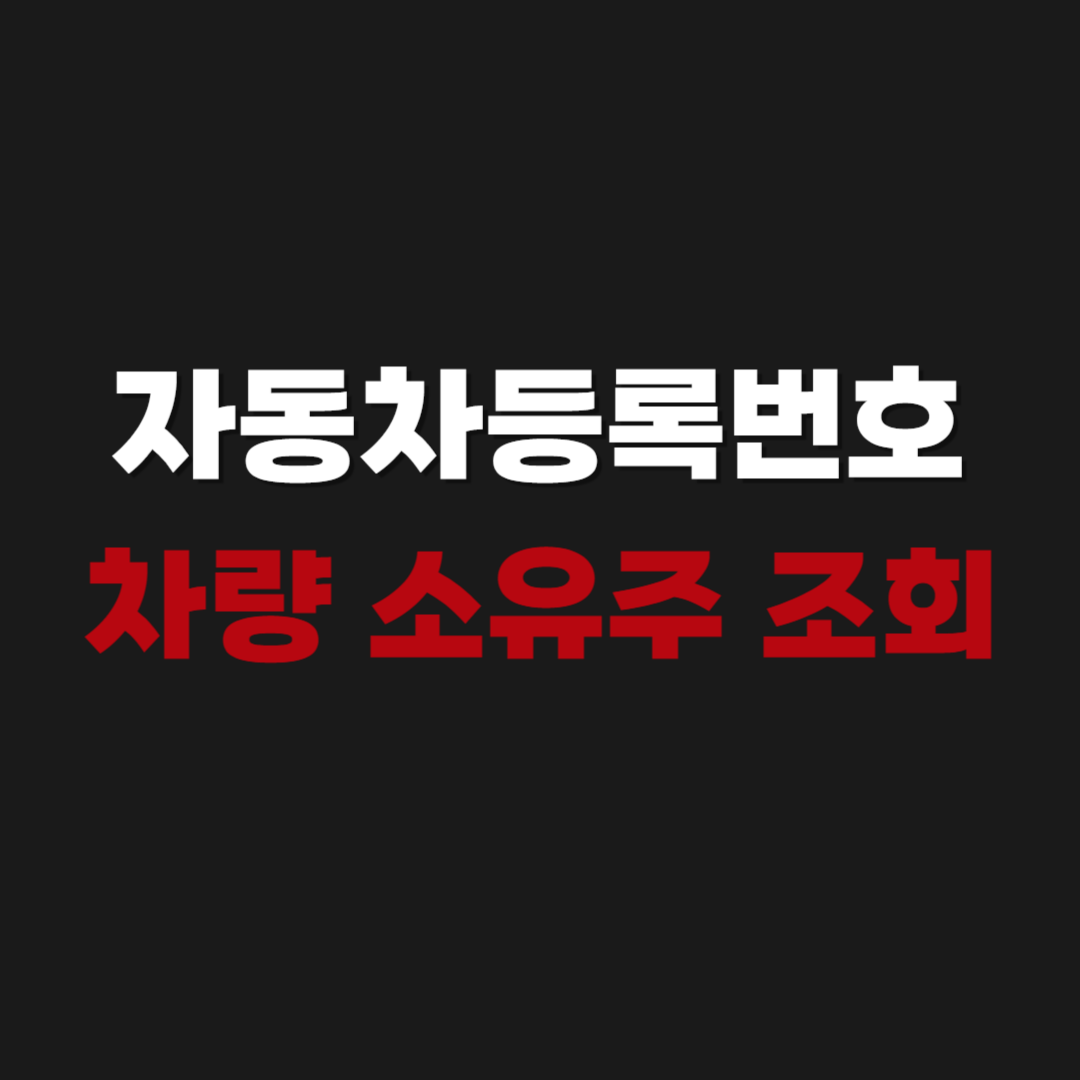 2026 자동차등록번호 및 차량 소유주 조회 방법