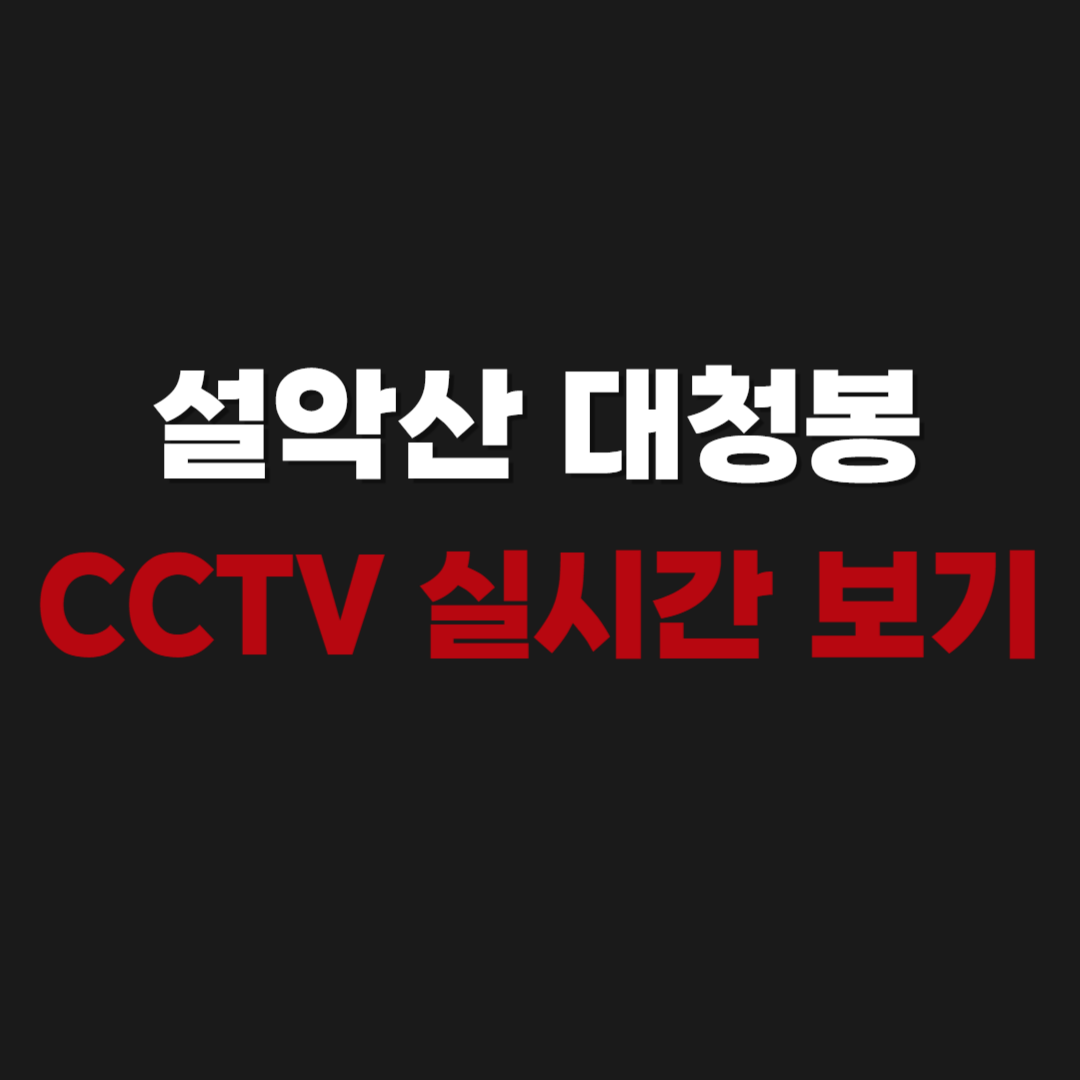 2026 설악산 대청봉 CCTV 실시간 보기