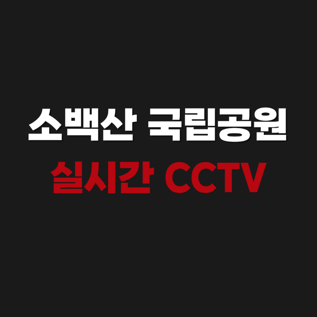 2026 소백산 국립공원 실시간 CCTV 보기