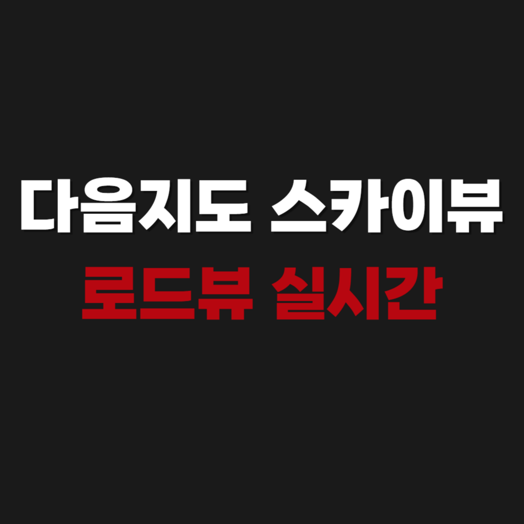 2026 다음지도 스카이뷰 로드뷰 실시간 보기