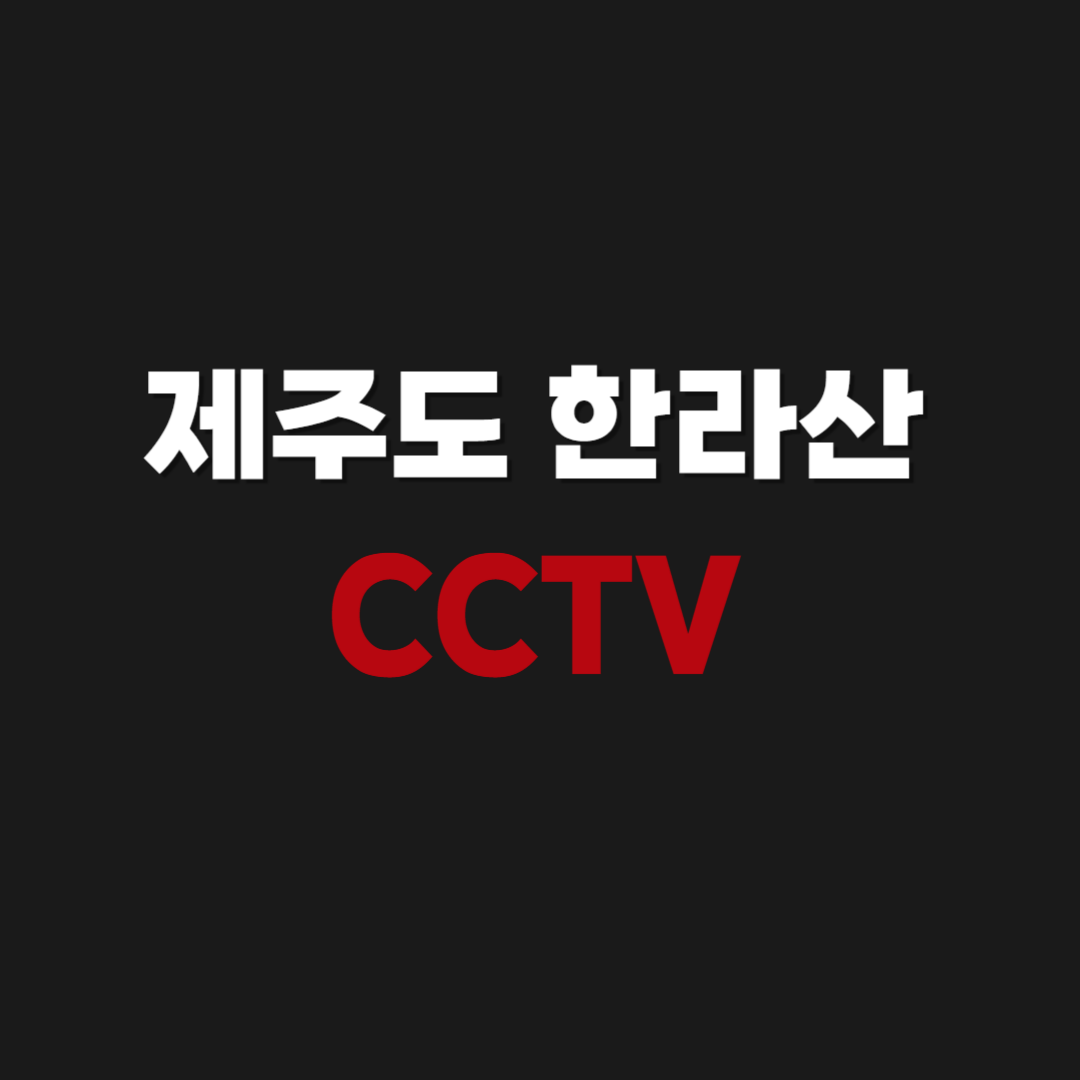제주도 한라산 국립공원 CCTV 날씨 실시간으로 보기