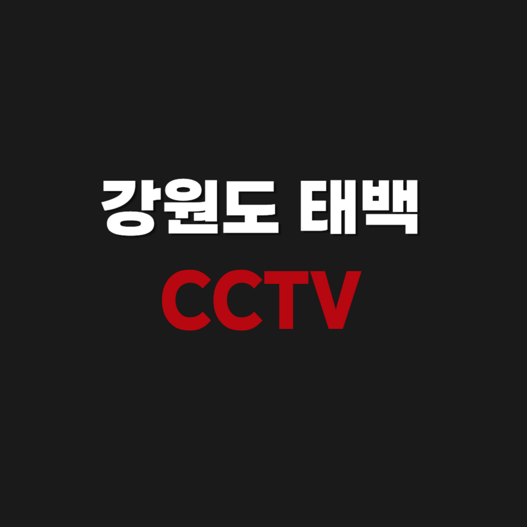 강원도 태백 정선 만항재 CCTV 실시간으로 보기
