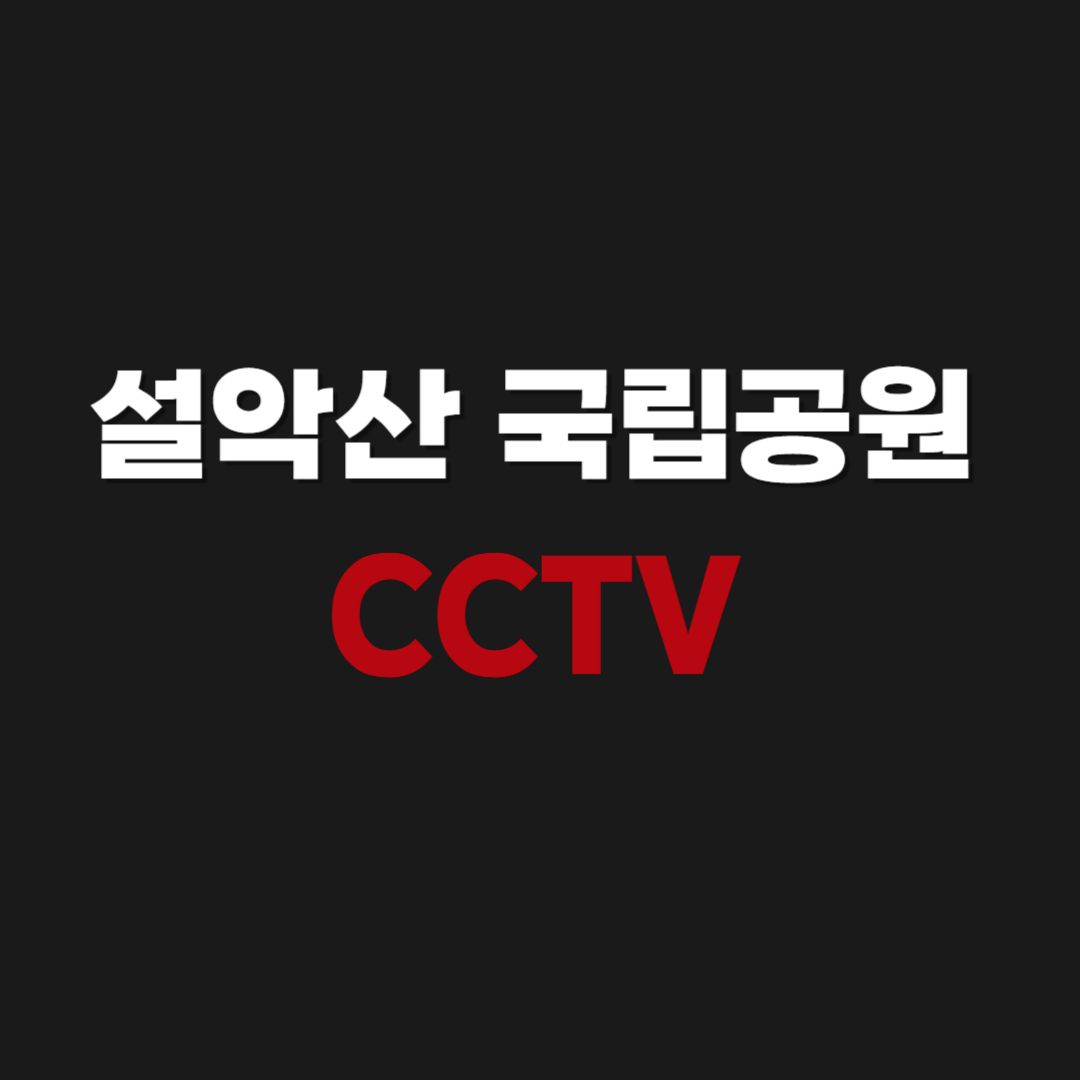 설악산 국립공원 울산바위 CCTV 실시간으로 보기