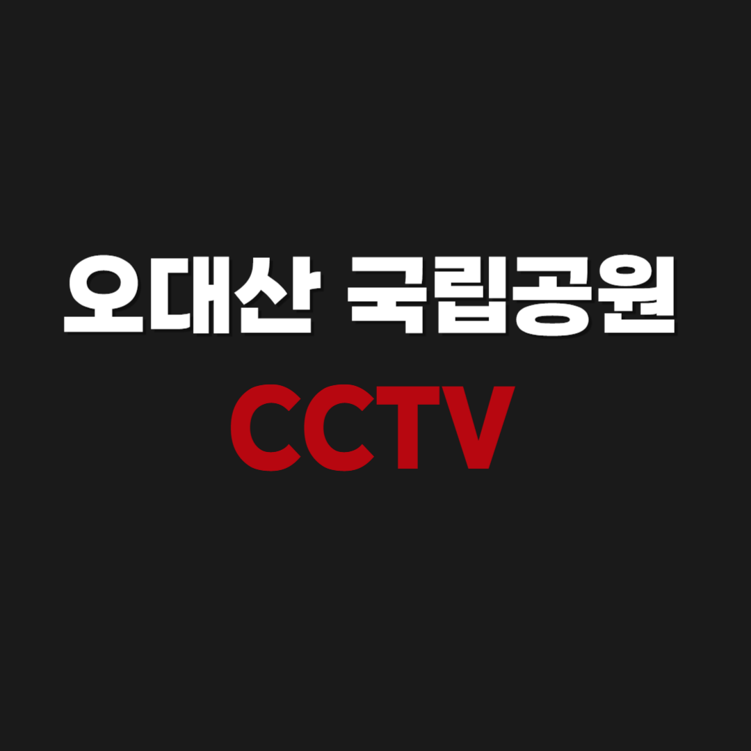 오대산 국립공원 두로령 CCTV 실시간으로 보기
