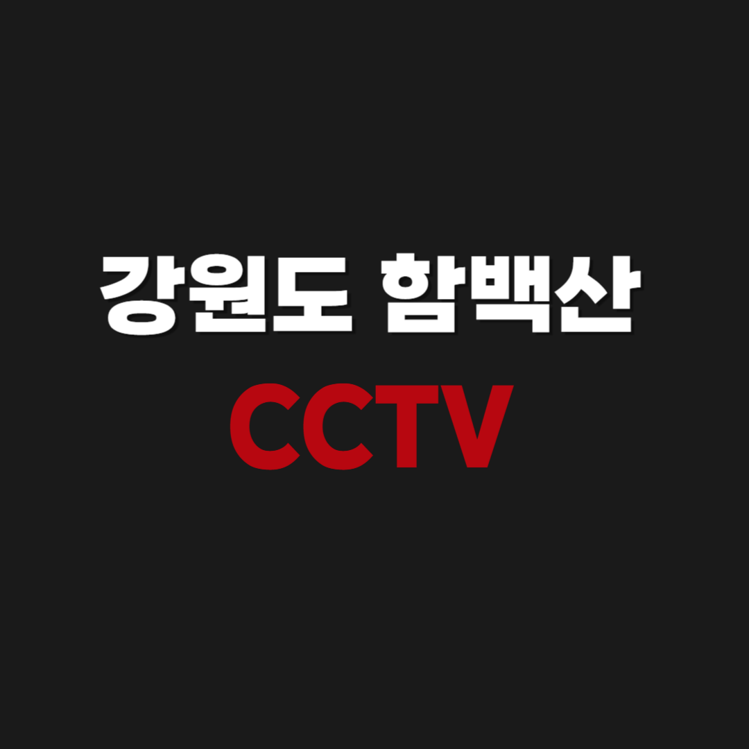 강원도 함백산 실시간 날씨 & CCTV 보기