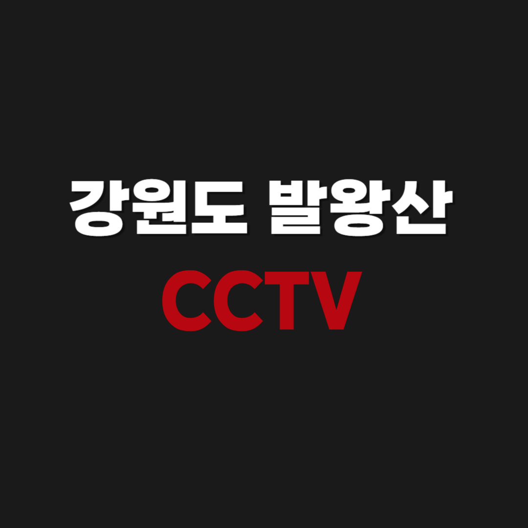 강원도 평창 발왕산 겨울 실시간 날씨 & CCTV 보기