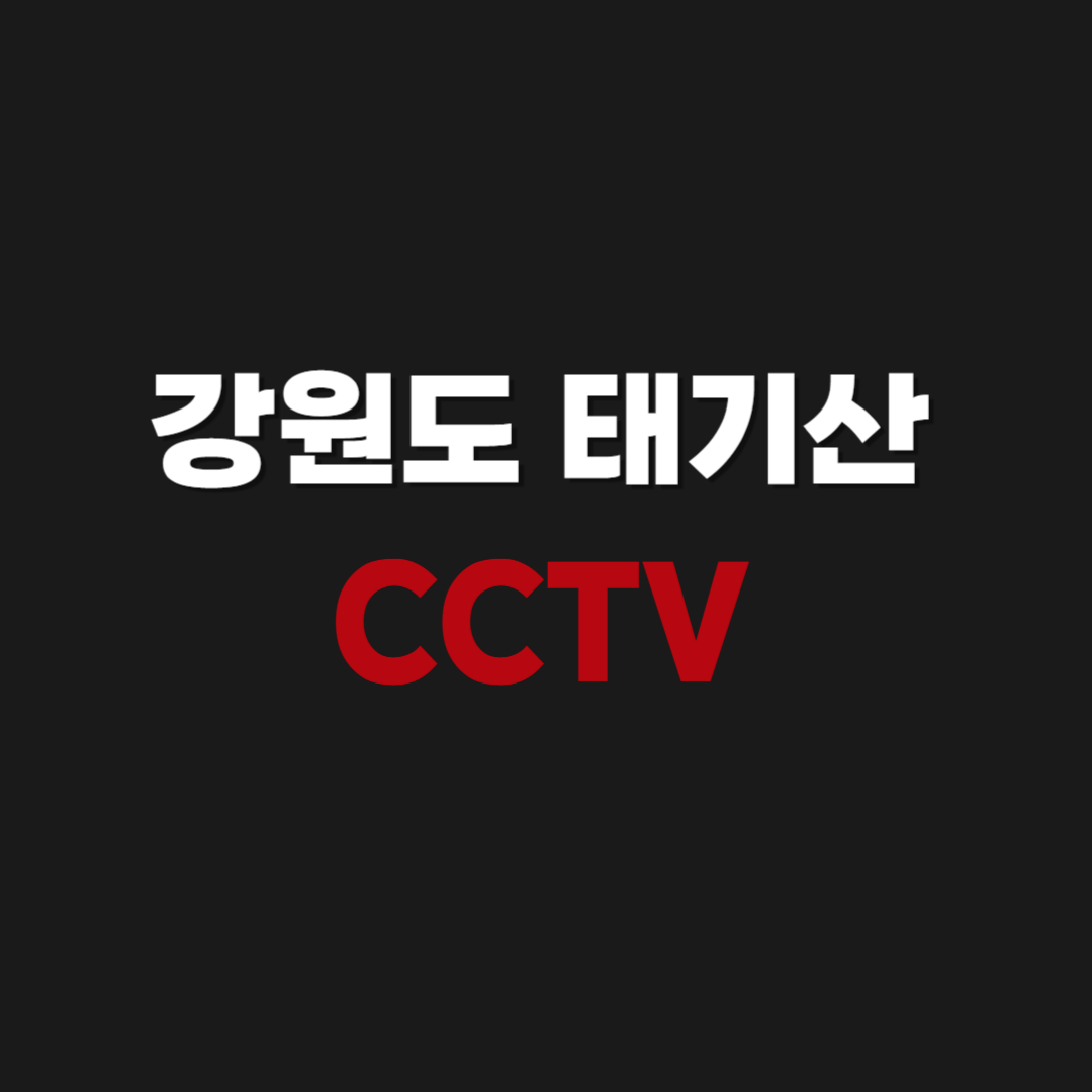 강원도 횡성 태기산 날씨 CCTV 실시간 보러가기