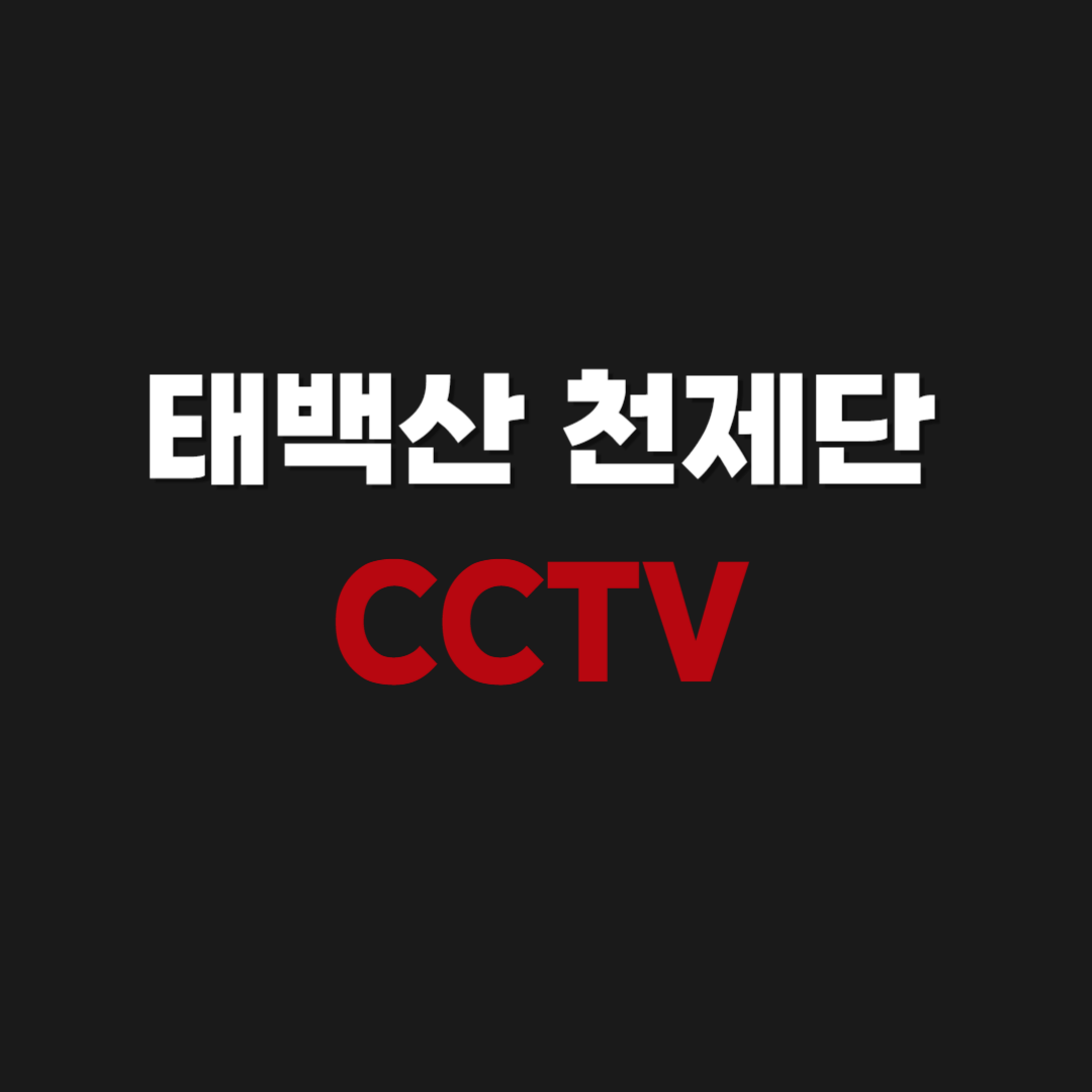 태백산 천제단 CCTV 실시간 보기