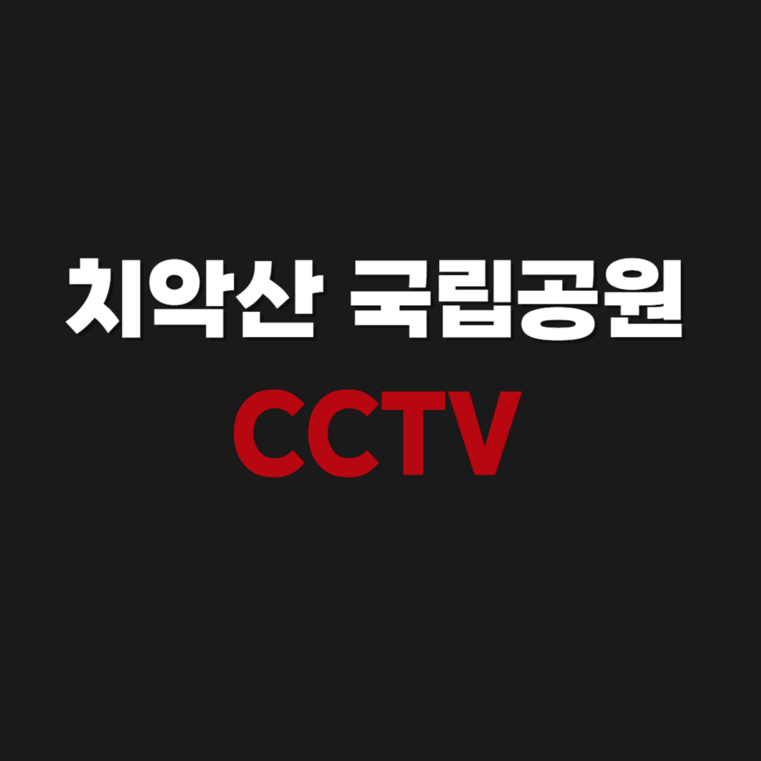 원주 치악산 국립공원 CCTV & 날씨 실시간 보는 방법