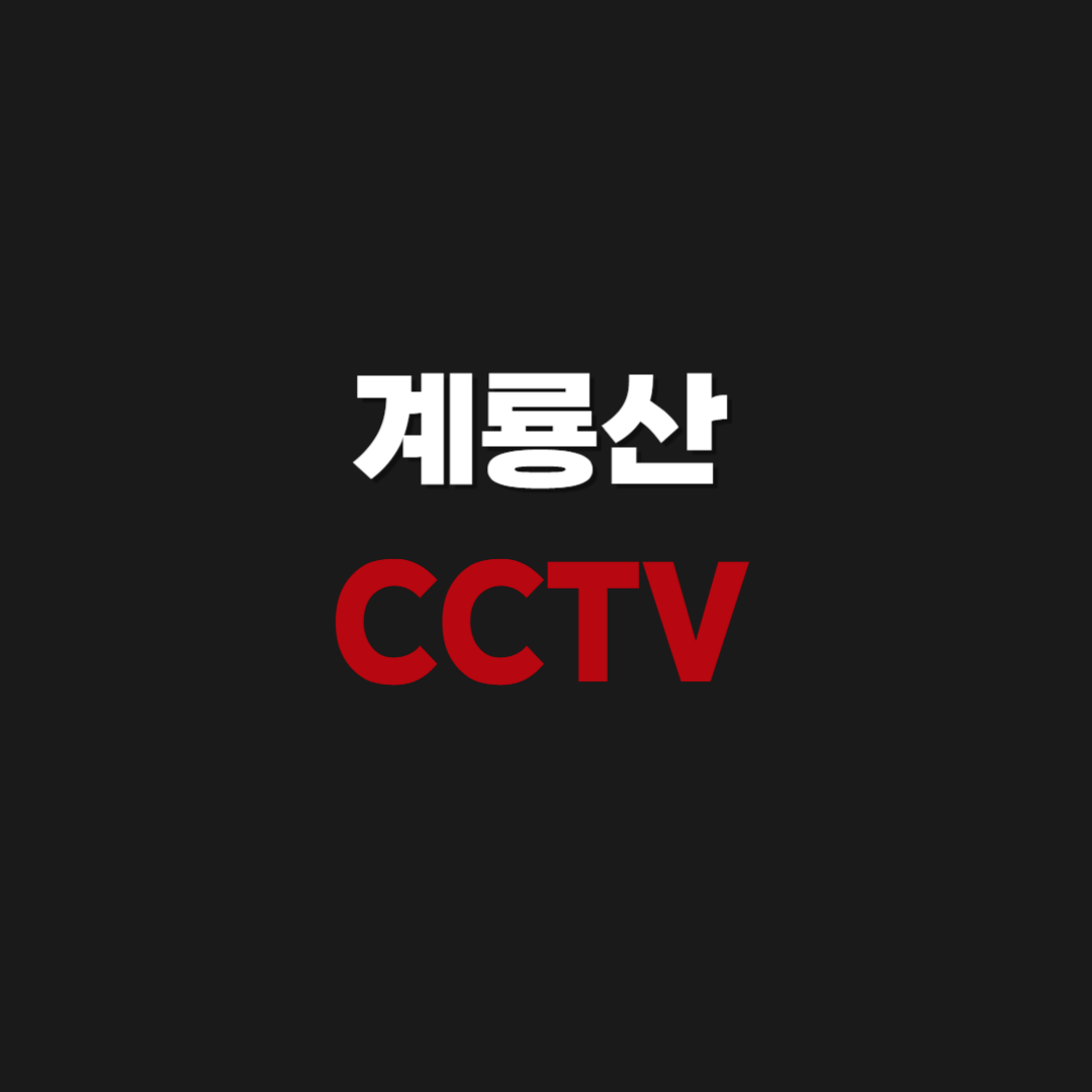계룡산 실시간 CCTV 보는 방법