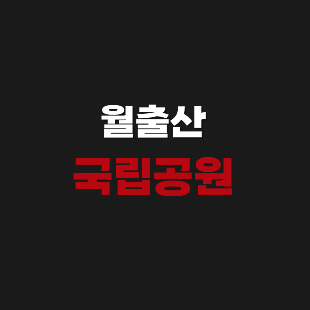 월출산 국립공원 실시간 CCTV & 날씨 보기