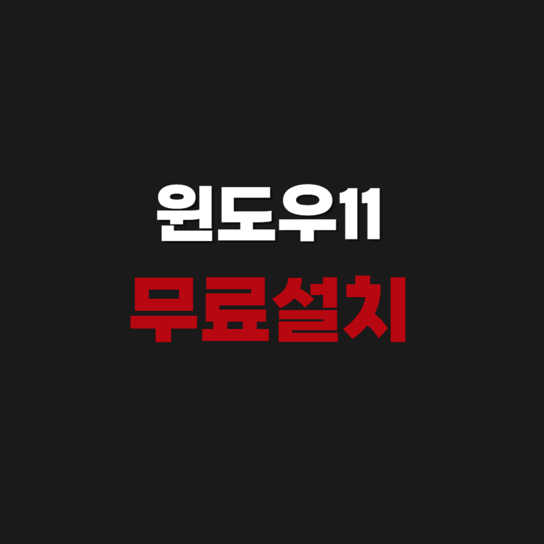 Windows11 윈도우11 무료 설치 다운로드