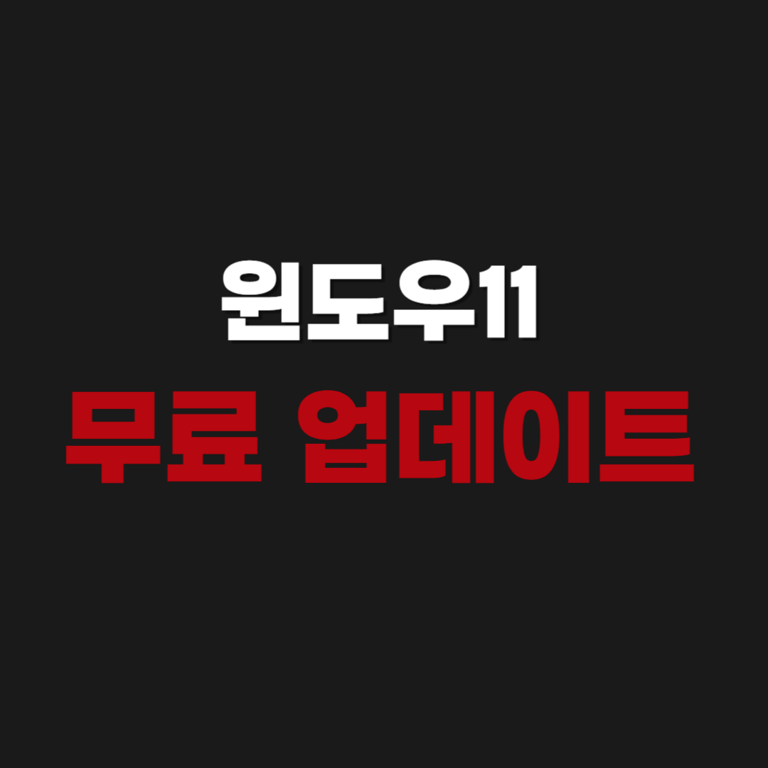 Windows11 윈도우11 무료 업데이트 방법(오류,끄기,시간,조건)