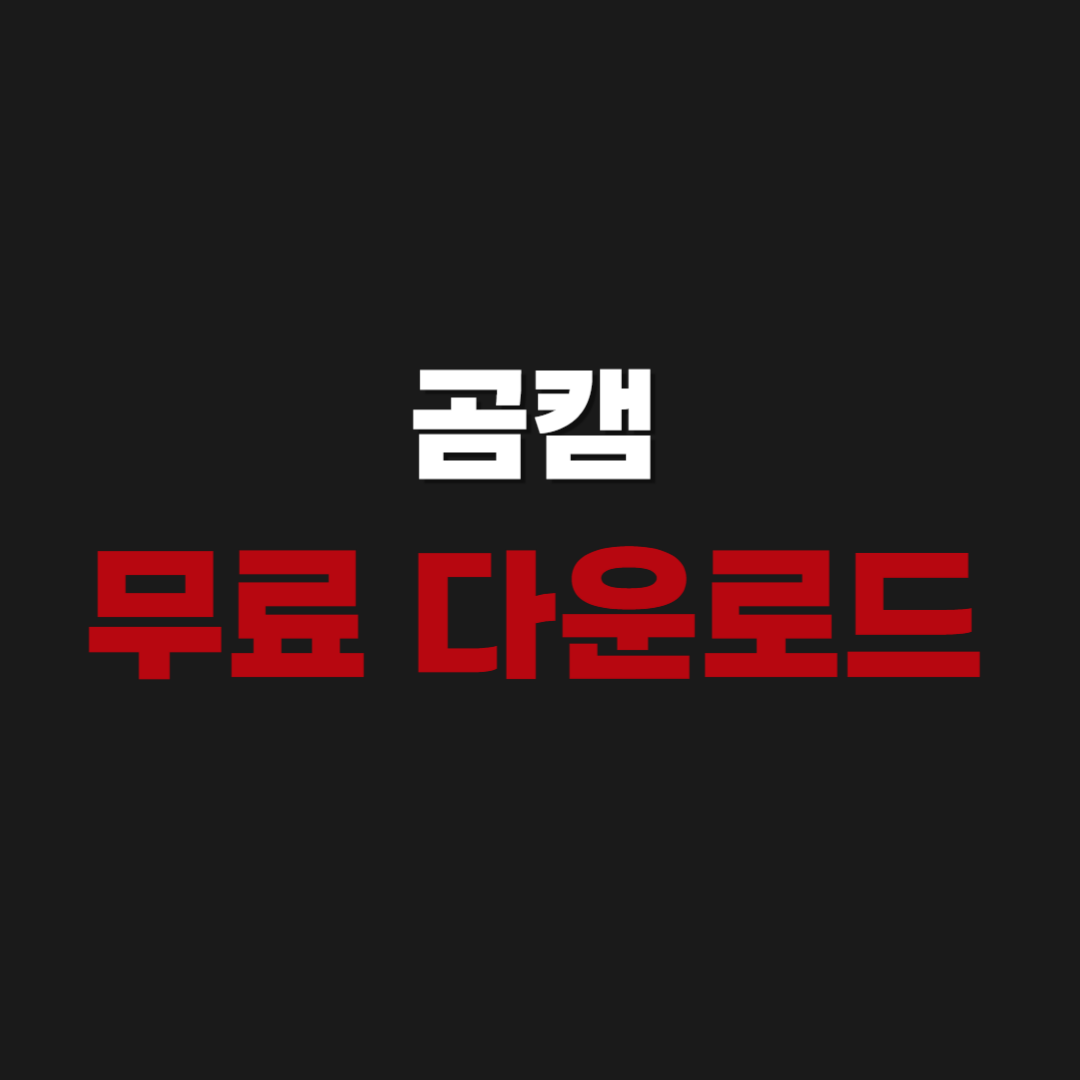 2026년 곰캠 무료 다운로드 설치