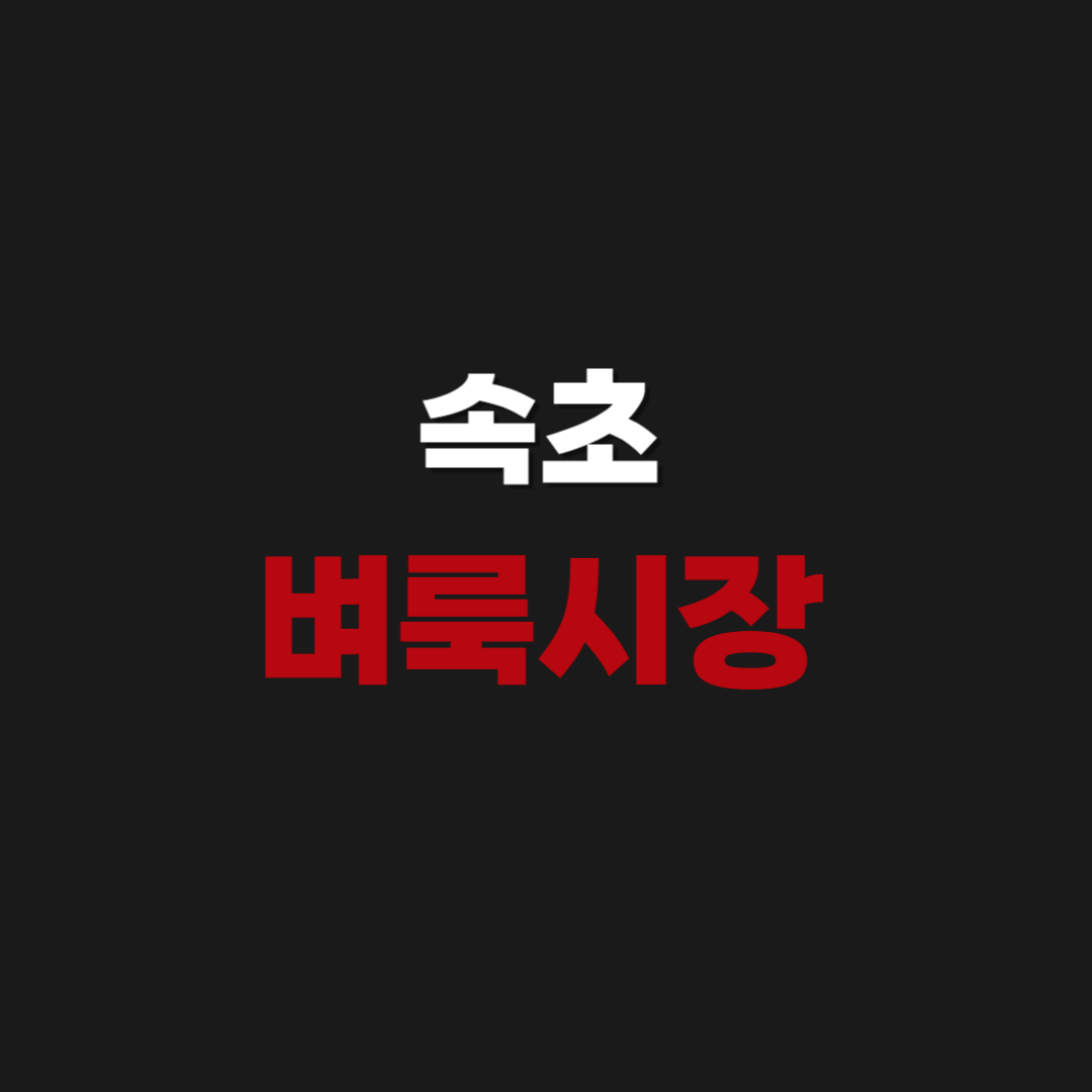 속초 벼룩시장 신문보기 부동산 구인구직