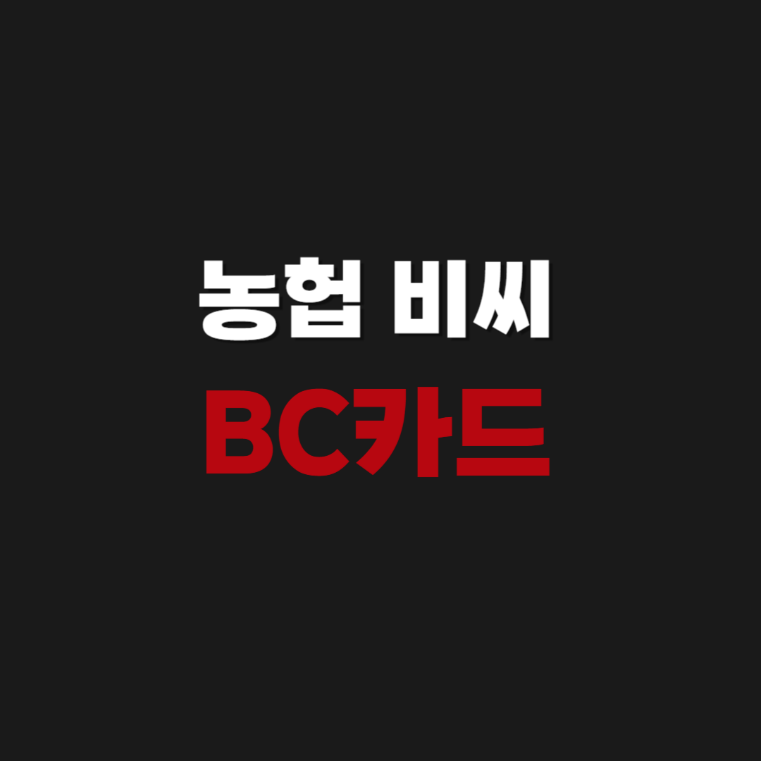 농협 비씨 BC카드 홈페이지 바로가기
