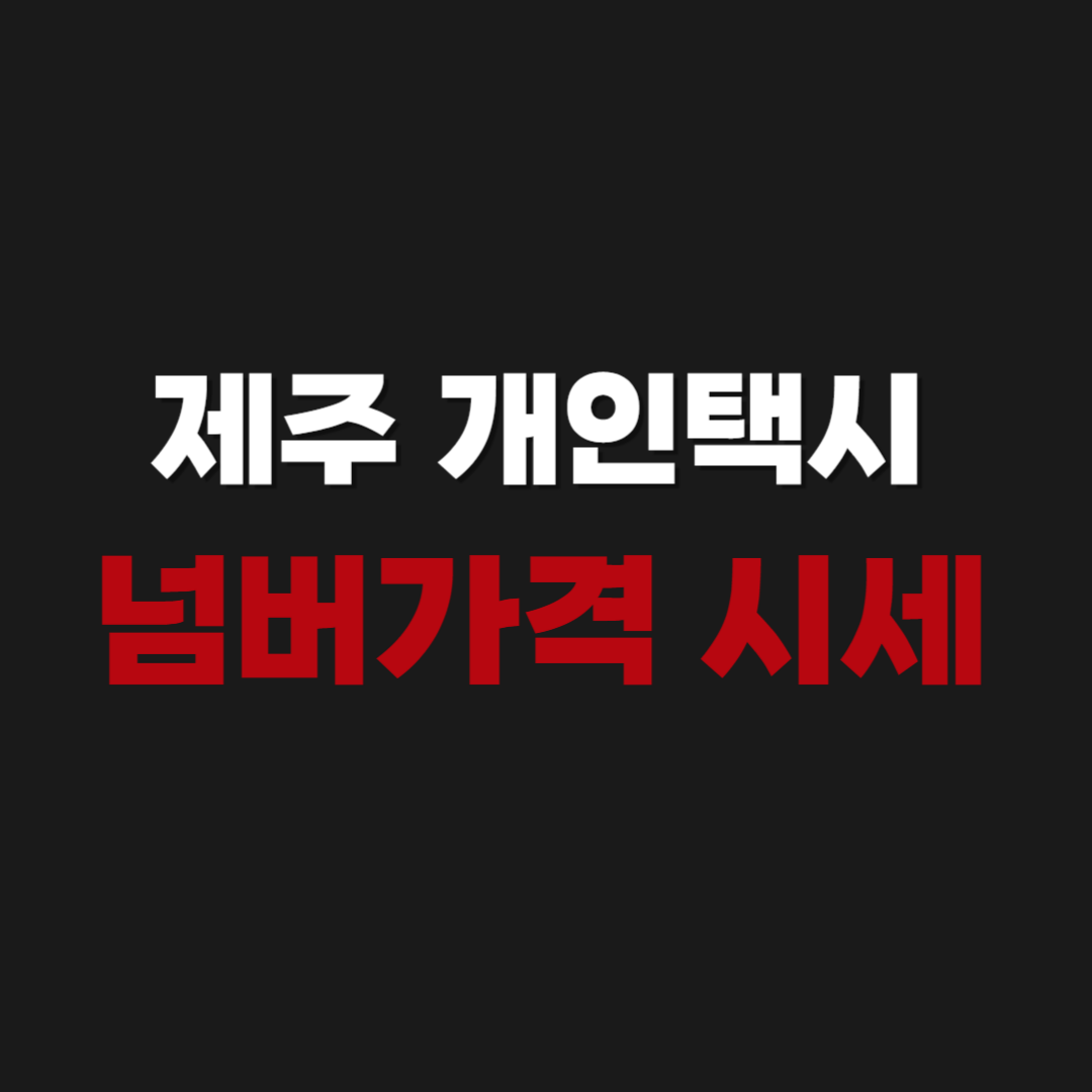 제주 개인택시 면허 매매 넘버가격 시세 조회 방법