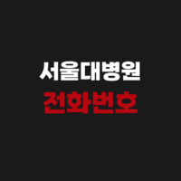 서울대병원 전화번호 예약센터 방법