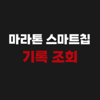 마라톤 스마트칩 기록 조회 사이트 순위확인