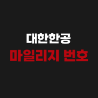 대한항공 마일리지 번호 조회 확인으로 찾는 방법