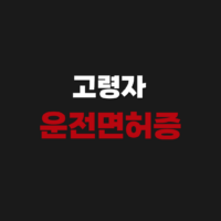 고령자 운전면허증 자진 반납 하는 곳 장사 나이 방법