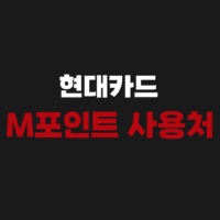 현대카드 M포인트 사용처 현금전환 적립 사용하는 방법
