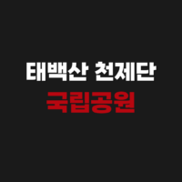 태백산 천제단 국립공원 CCTV 실시간으로 영상보기