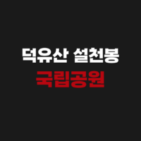 덕유산 설천봉 국립공원 CCTV 실시간으로 보는 방법
