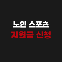 노인 스포츠 지원금 신청 사이트 홈페이지 및 사용 방법 안내