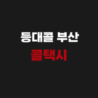 등대콜 부산 콜택시 전화번호 호출 예약 부르는법