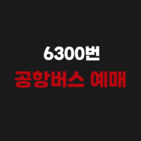 6300번 리무진 공항버스 시간표 노선 예매 요금 정보