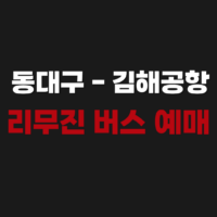 동대구에서 김해공항가는 리무진 버스 시간표 예매 타는 곳 정보 정리