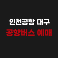인천공항 대구 리무진 공항버스 예매 시간표 타는 곳