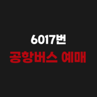 6017번 공항버스 시간표 조회 예매 요금