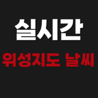 실시간 고화질 위성지도 날씨 (네이버 구글)