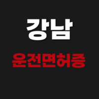 강남 운전면허증 시험장 온라인 갱신 및 재발급 방법