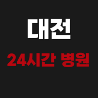 대전 24시간 병원 조회하기 (정형외과, 심야간, 공휴일, 일요일 주말 진료 당직병원)