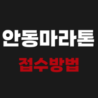 2026 안동마라톤 접수방법 및 일정 코스 알아보기