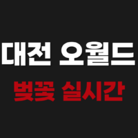 대전 오월드 벚꽃 실시간 확인하기 예매방법 알아보기