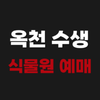 2026년 06월 25일 남아프리카 공화국 대한민국 | FIFA 북중미 월드컵 축구