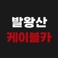 발왕산 케이블카 예매 방법 운행 할인 가격 소요 시간 평창